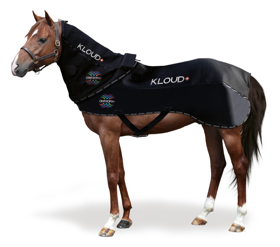 Centropix Kloud VET-SET and PEMF Mat